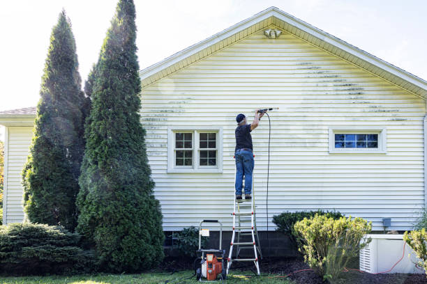 Best Solar Panel Cleaning  in Osseo, MN